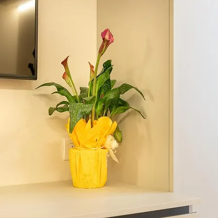 Appartement Opio 60